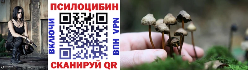Галлюциногенные грибы мицелий  Курчатов 